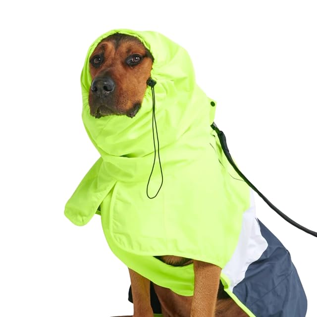 Spark Paws Abrigo impermeable y cortavientos para perros de tamaño pequeño, mediano, grande y extra grande…