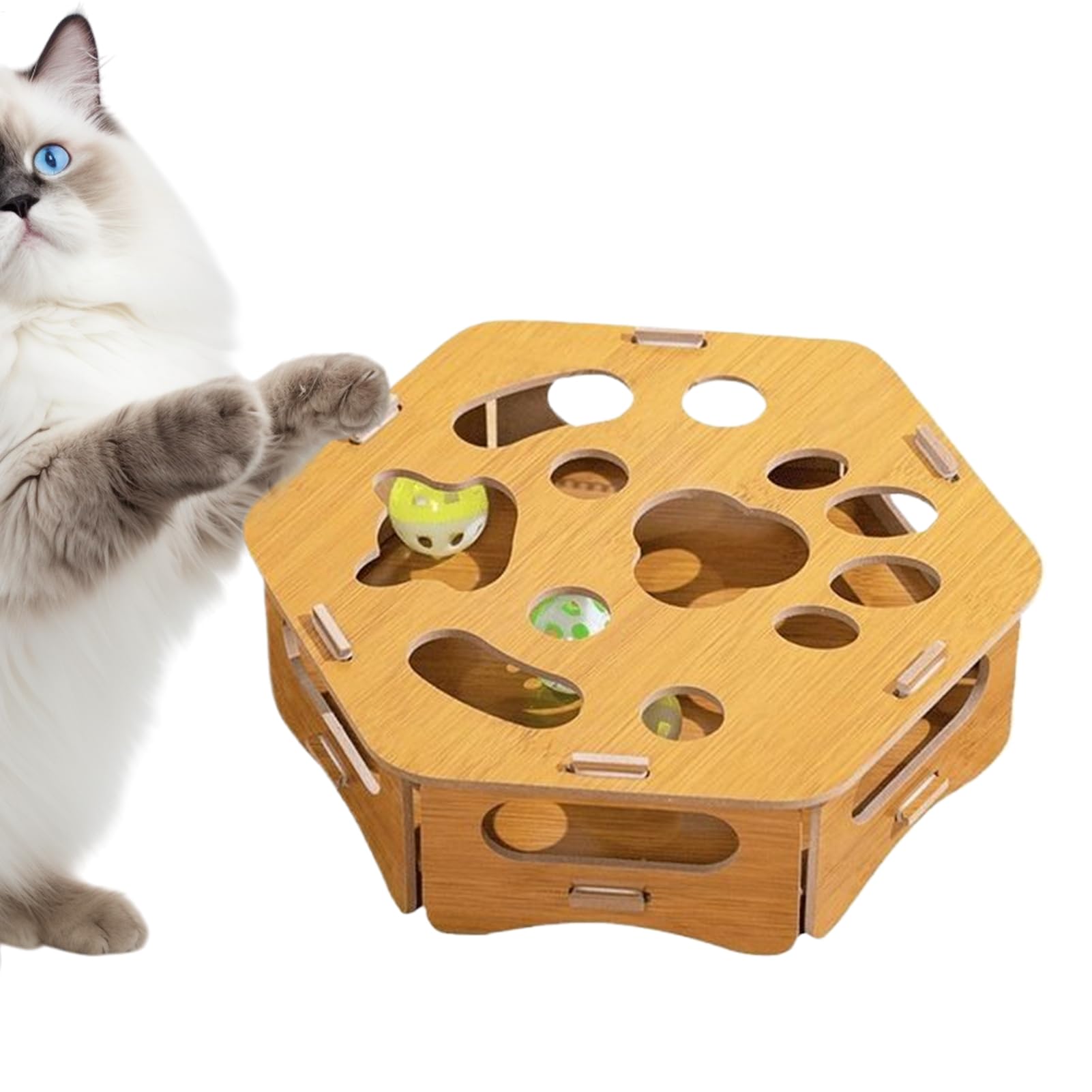Exercice pour chatons amusant avec le jouet à gratter en bois durable