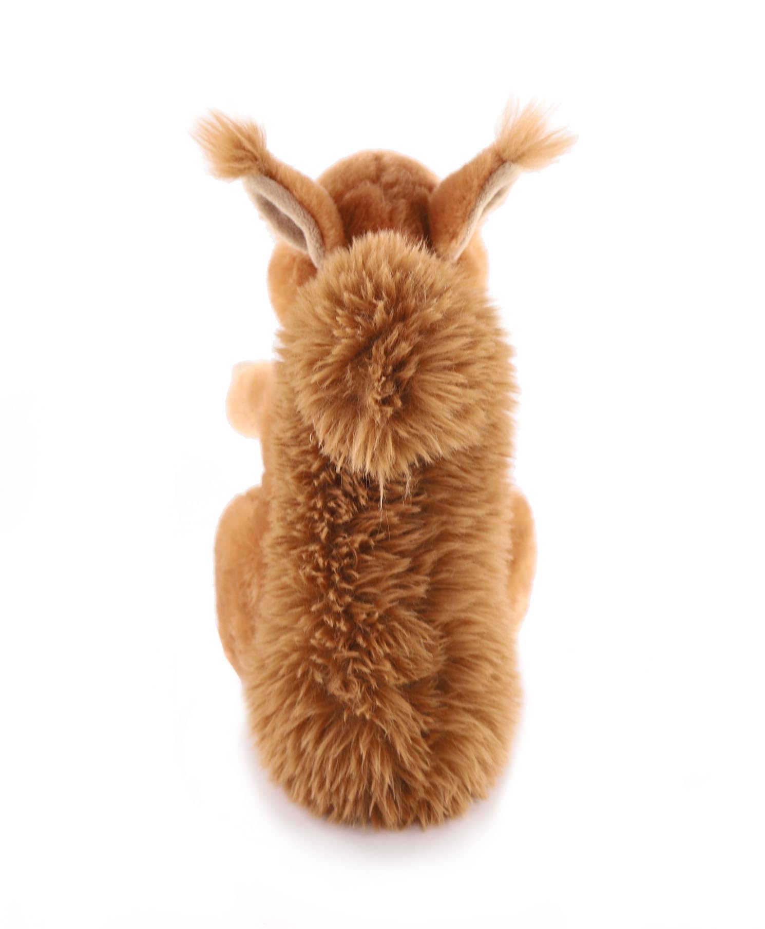 Amazon.co.jp: 野生の動物シリーズ 赤リス大 ぬいぐるみ おもちゃ