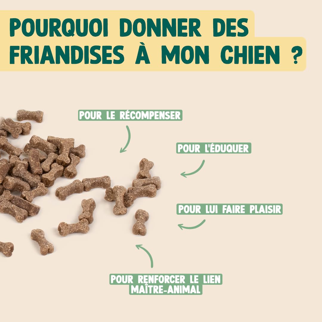 Friandises Pour Chien Franklin - Bœuf Séché Fumé Barbecue, 90% Viande, Sans Céréales - 100g - 3
