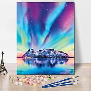 TISHIRON DIY Paint by Numbers for Adults Beginner, Aurora Scenery Adult Paint by Numbers, Aurora Landscape Paint by Numbers Kits, Paint by Numbers Crafts for Adults Kids Home Decorations 16X20 Inch