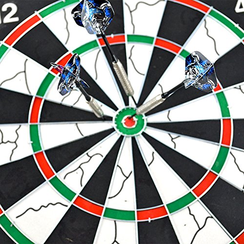 Gallop Chic Steel Tip Darts Set 22 Grams Professional - 12 Pcs Steel Tipped Darts for Dartboard, Aluminum Shafts, Standard Flights, 20 Grams Nickel Silver Metal Barrels and Pro Dart Sharpener