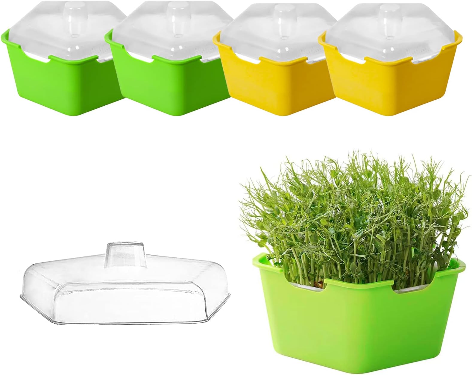 Ecmln4 Pack Seed Sprouter Tray with Cover, Plastic Seed Germination Tray, Soil-Free, Suit for Kitchen Garden Home Office, BPA Free (Green)