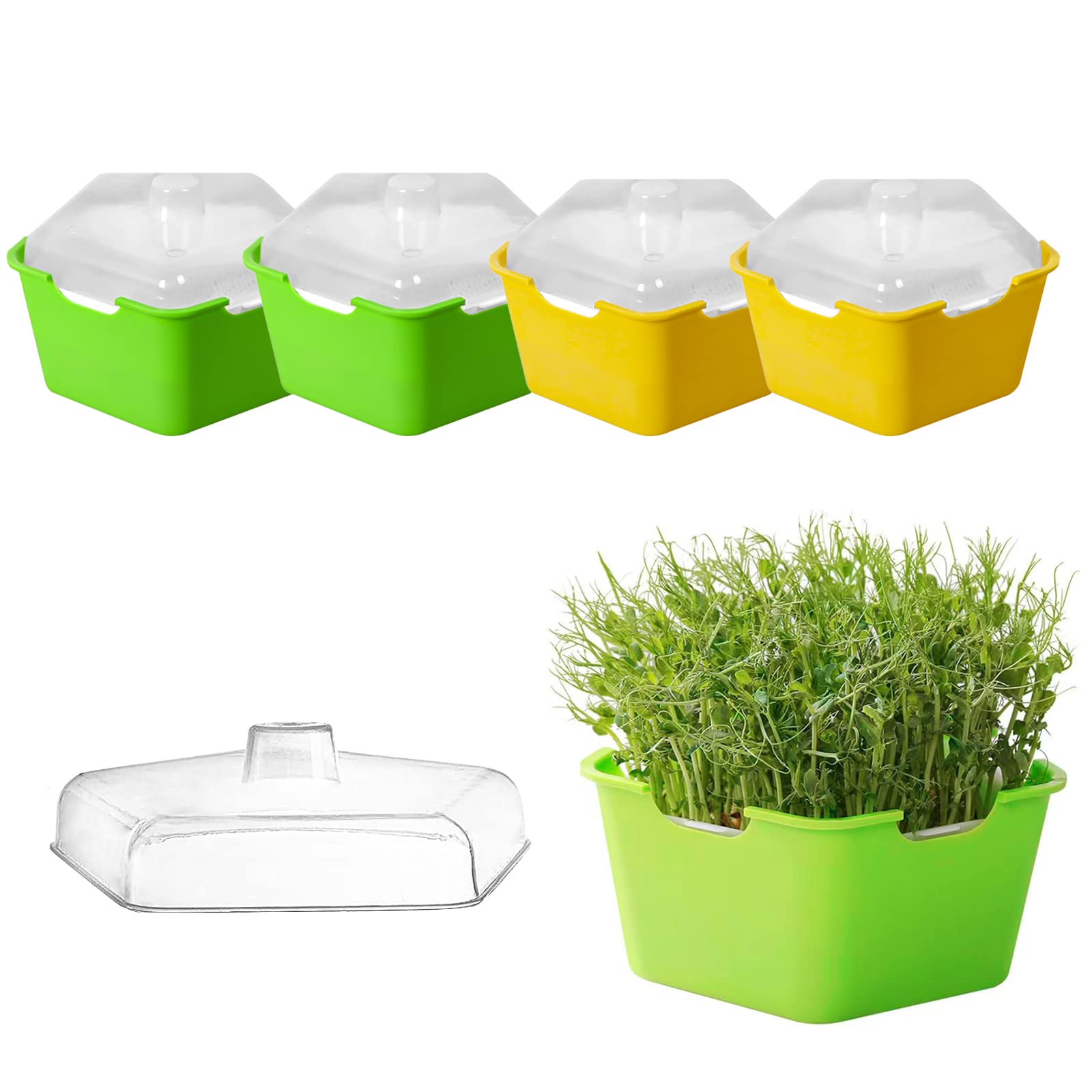 Ecmln4 Pack Seed Sprouter Tray with Cover, Plastic Seed Germination Tray, Soil-Free, Suit for Kitchen Garden Home Office, BPA Free (Green)