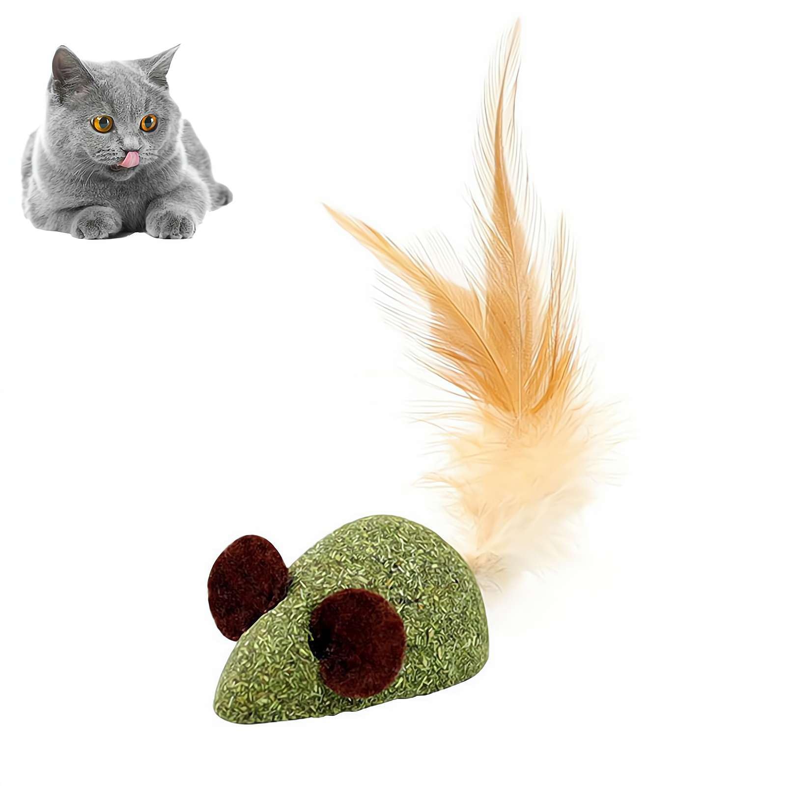 Catnip Ball Toys for Indoor Cats,Cat Teeth Cleaning Toy,Cat Kitten Chew Toys,Cat Interactive Treats,Indoor Catnip Ball Dental Cat Snack Ball for Teeth Cleaning