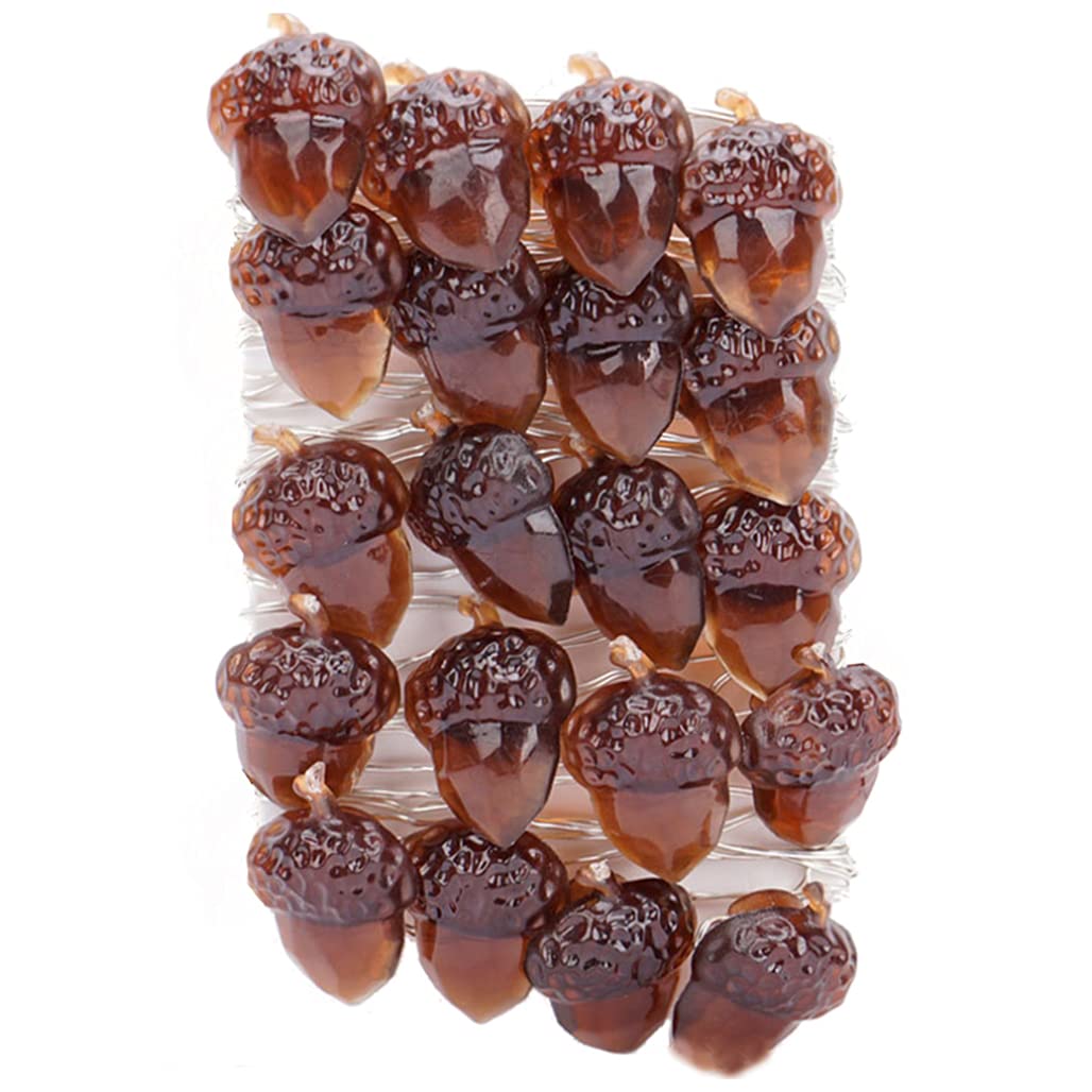 Snner Acorn String Lights Acorn Led Waterproof String Lights Thanksgiving Fairy Lights 20 LED 2M Remote Control 8 Modes for Fall Christmas Birthday Harvest Party