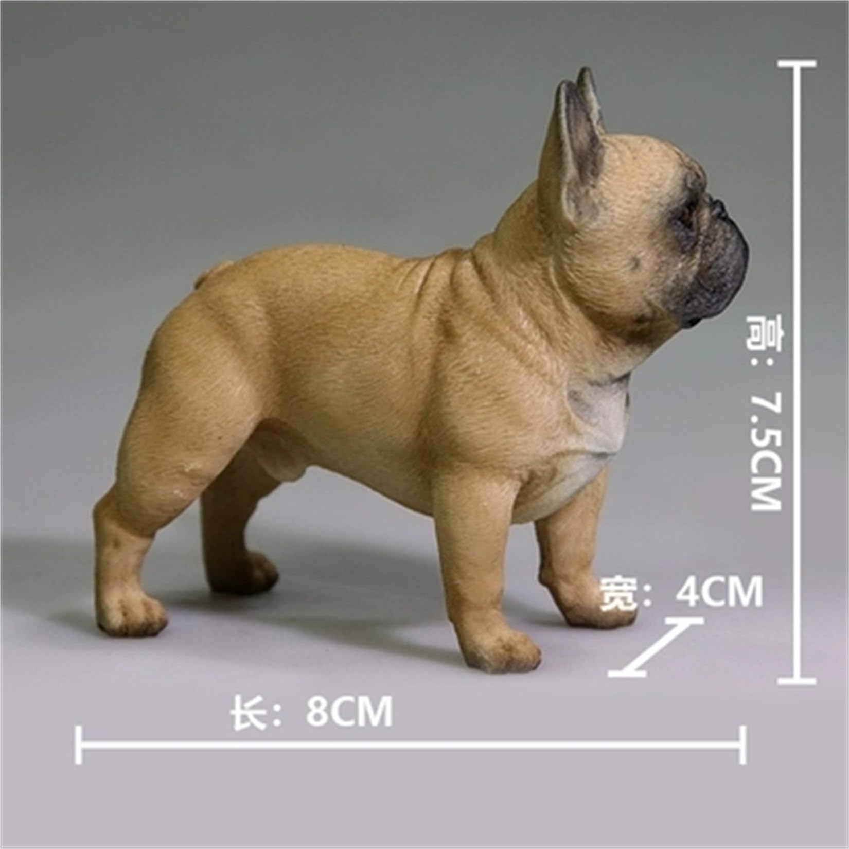 Amazon.co.jp: JXK 1:6サイズ フレンチ·ブルドッグ 8cm 犬 動物 リアル