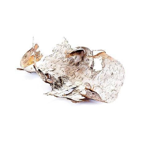Miniatura 4 de Biokoma Corteza de abedul pura y natural, corte seco, 3.53 oz (3.55 onzas) en bolsa resellable a prueba de humedad, té de hierbas, sin aditivos, sin