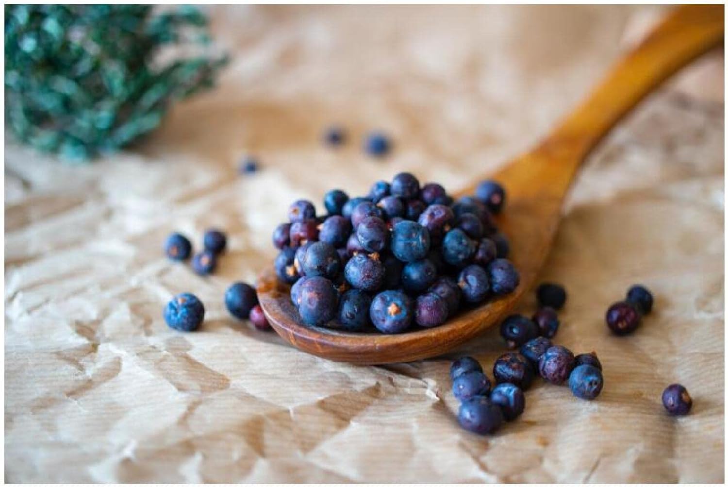 Amazon Co Jp ブルーベリードライフルーツのイラスト 木製パズルおもちゃ300家の装飾楽しい家族ゲーム教育おもちゃdiyギフト おもちゃ