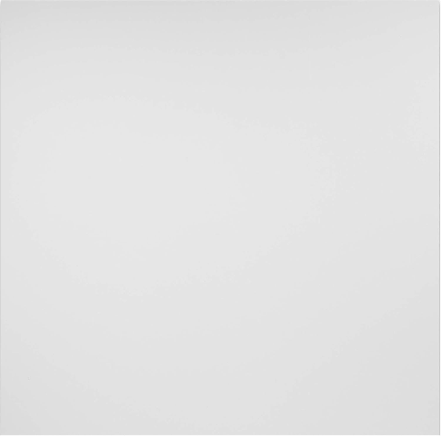 Genesis 2ft x 2ft Smooth Pro White Ceiling Tiles - Easy Drop-in Installation – Waterproof, Washable and Fire-Rated - High-Grade PVC to Prevent Breakage (One Tile)