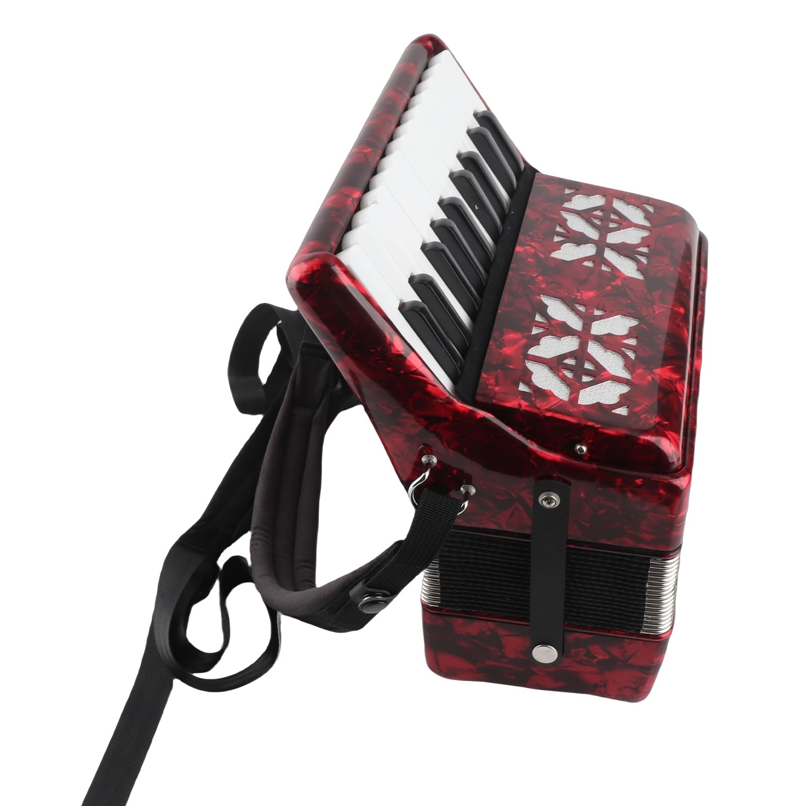 EMUKOEP Fisarmonica, Strumento Musicale per Pianoforte a 8 Bassi e 22 Tasti per Principianti, con Panno per la Pulizia e Cinturino, Design Ergonomico per Bambini e Studenti