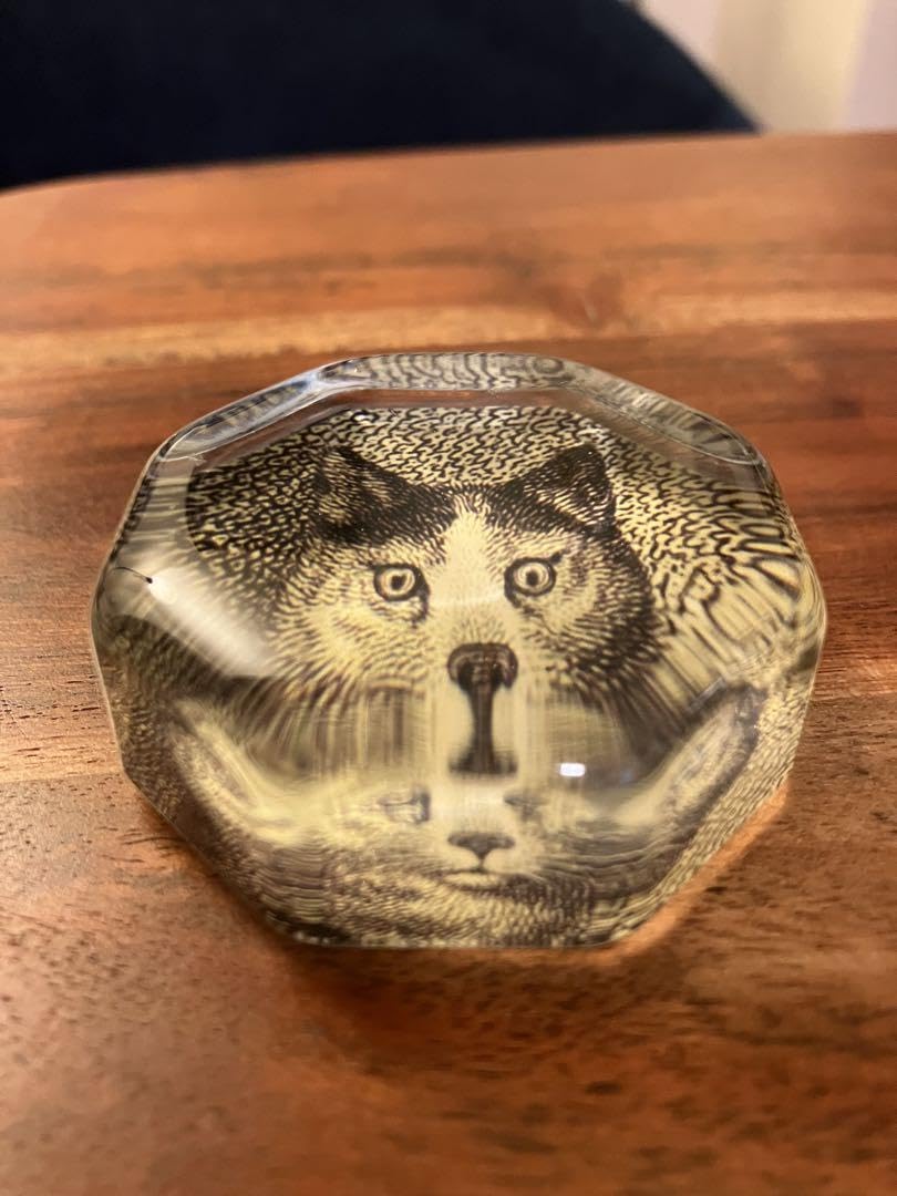 Amazon.co.jp: John Derian（ジョンデリアン）ペーパーウェイト 猫 cat
