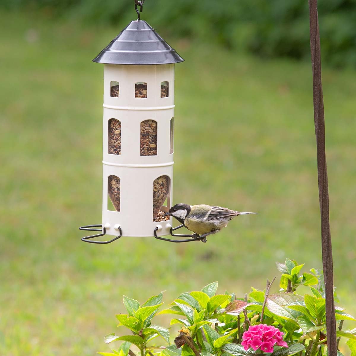Wildvogelfutter mit Insekten und Sämereien - ausgewogene Vogelfutter-Mischung für Wildvögel, 25 kg
