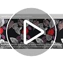 Image of DECORUM Glace Cotton Fitted 1 Bedsheet King Size (72 inchx78 inch) | All Around Elastic | Cotton Feel | 2 Pillow Covers (17 inchx27 inch) | Fits Up to 8 inch Mattress | 200-220 TC | Printed Double Bed Sheet Set