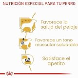 Ver la foto 3