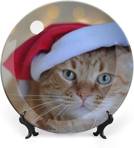 Platos decorativos de Navidad para exhibición, lindo gato con sombrero de Navidad rojo, divertidos platos de pared de cerámica de animales, platos