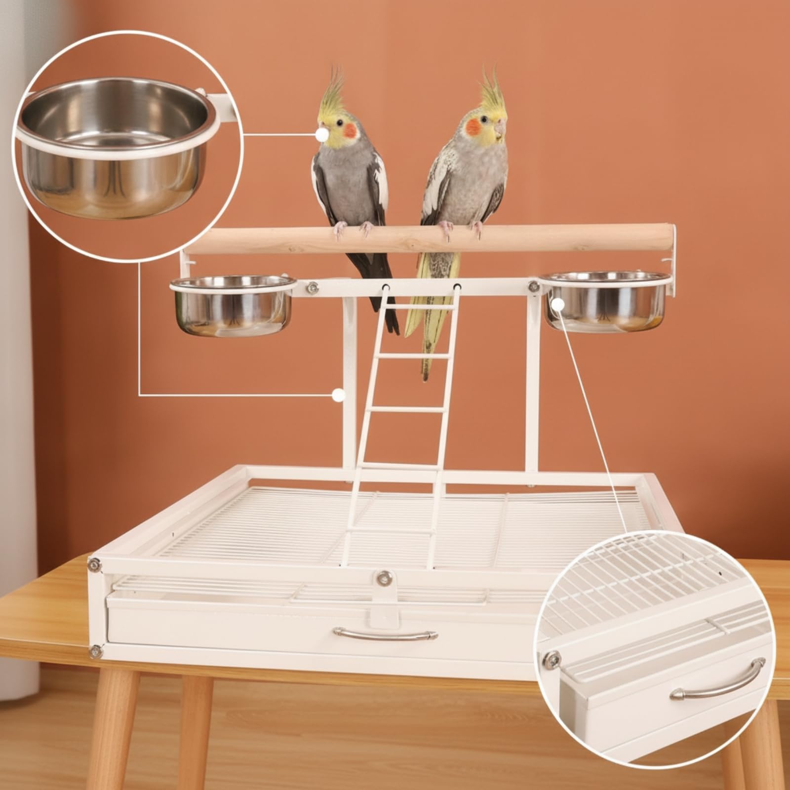 Soporte Seguro Percha Multiusos para Pájaros