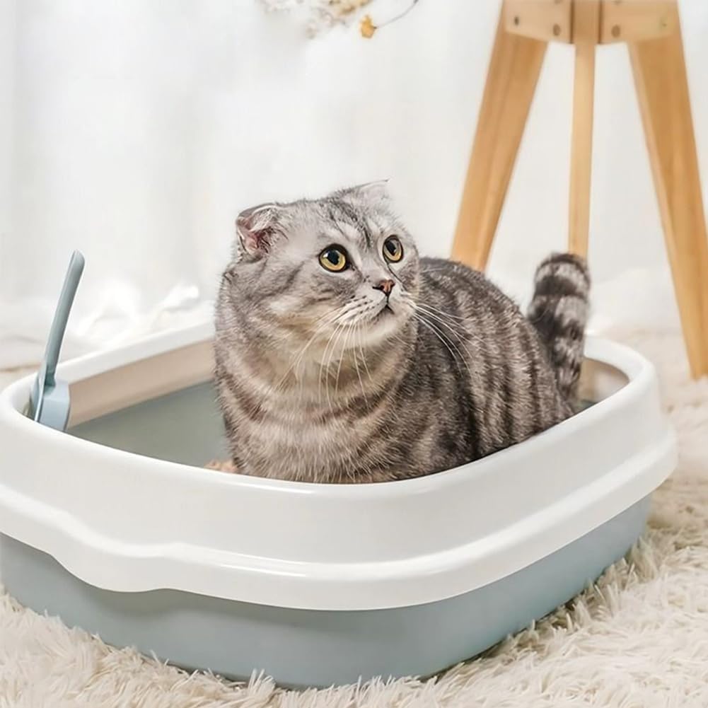 Kitten Starter Kit - 16 Pcs Cat Essentials Set Includes Litter Box, Toys, Collars, Scratch Pad, Nail File, Automatic Feed Bowls, Grooming Gloves (Blue, 16 Pcs)