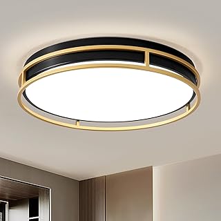 Modern Flush Mount Ceiling Light, Black Gold Dimmable Ceiling Light Fixture