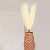Vista 2 de VOSAREA 50 piezas de caña de caña de imitación seca hierba seca hierba jarrón relleno de cola de conejo, flores secas, decoración bohemia
