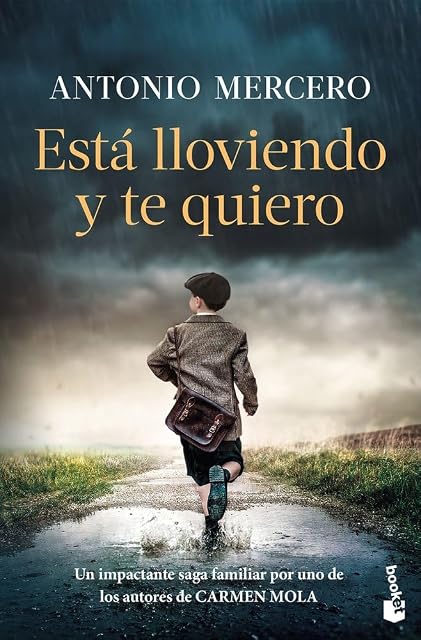Portada de Está lloviendo y te quiero