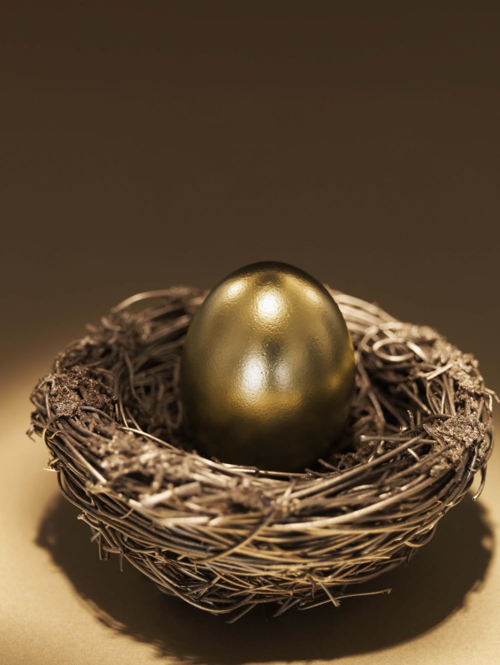 Goal Digger Planner: 2024 edition