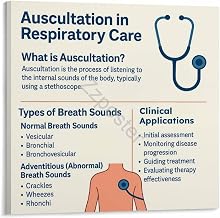 Auscultation in Respiratory Care Guide Poster Canvas Painting for Living Room Bedroom Decor 20x20inch(50x50cm) Frame-style