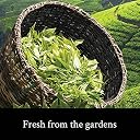 Teamonk Anicca High Mountain Chamomile Green Tea Leaves (50 Cups) - 100g. Best Calming Tea | Night Tea | Relaxation Tea gallery image