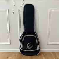 エピフォン　カジノ　1998年製　ソフトケース付き エピフォン カジノ 1998年製 ソフトケース付き Epiphone