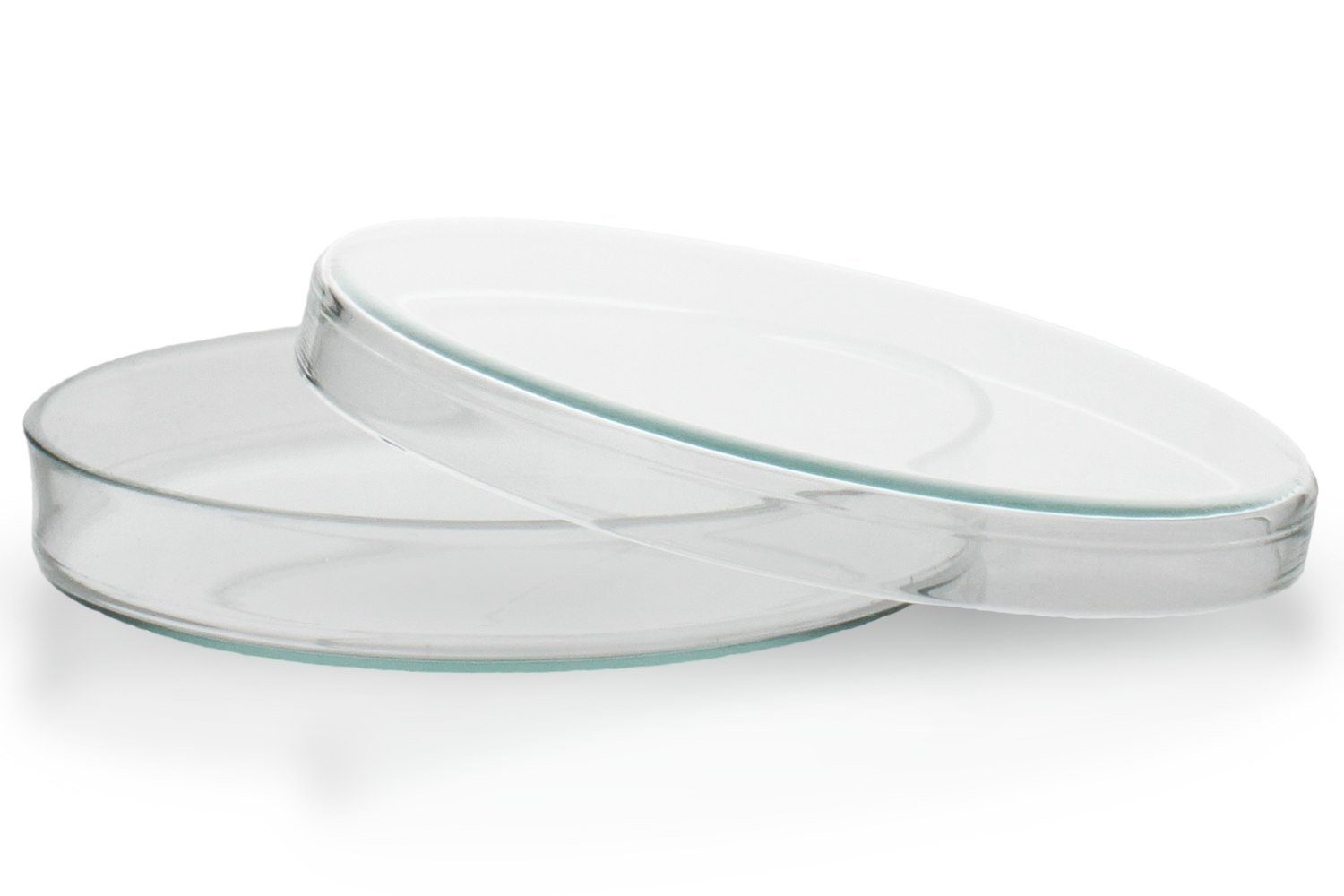 50x Petrischale 100 x 15 mm aus Glas, sterilisierbar bis 135°C