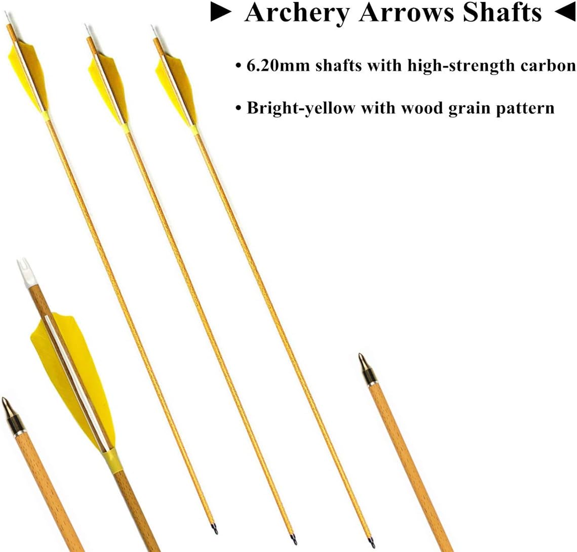 500 Spine Carbon Arrows with 4 Inch Feathers Fletching for Compound Recurve Bows (12 Pack)