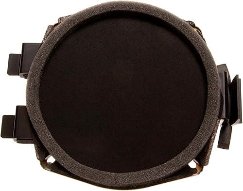 ACDelco 15038566 gm tapa delantera equipo original parlante de radio.