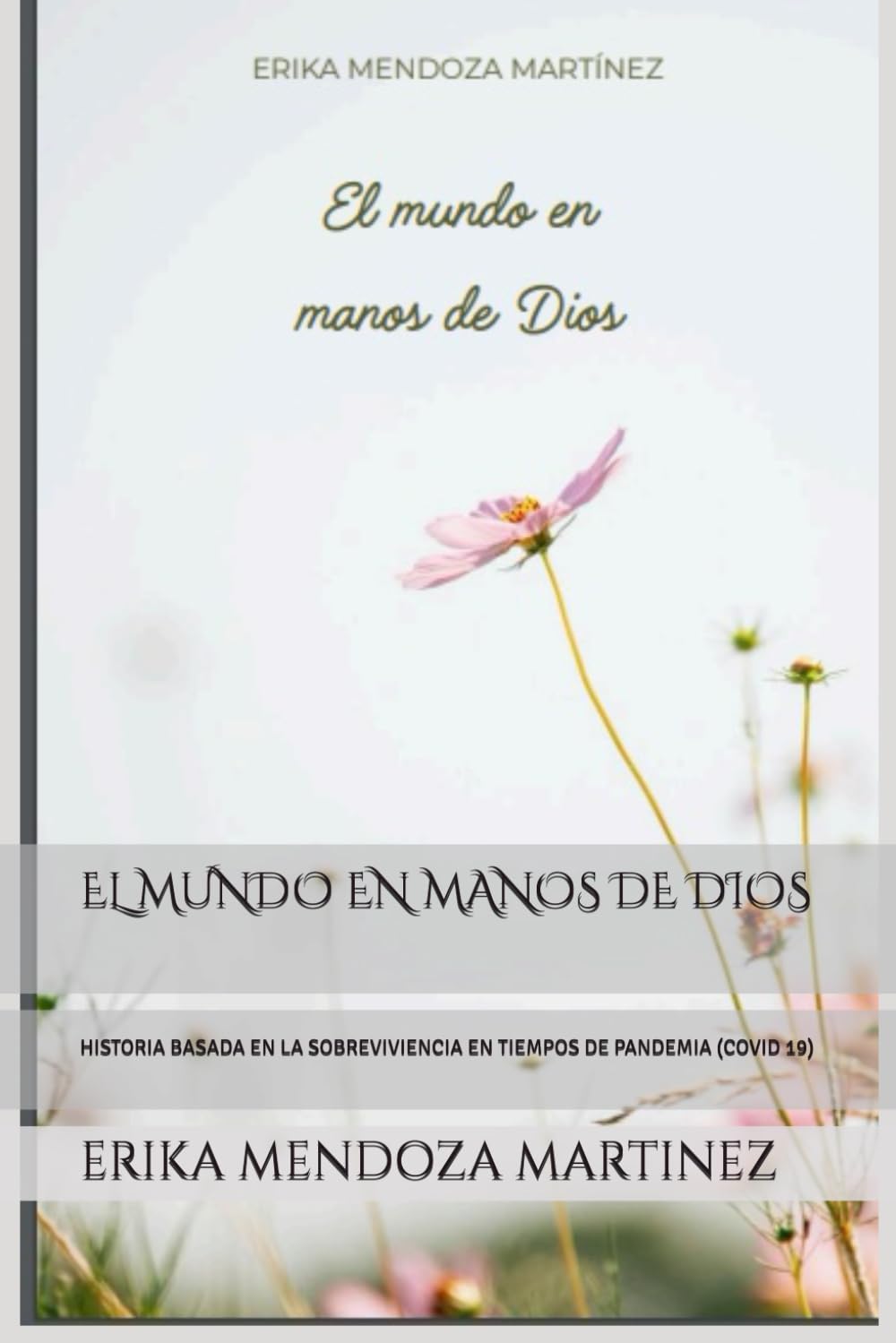 EL MUNDO EN MANOS DE DIOS: HISTORIA BASADA EN LA SOBREVIVIENCIA EN TIEMPOS DE PANDEMIA (COVID 19)