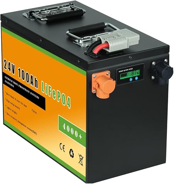 batteria litio 24V 100Ah 200Ah LiFePo4 Batterie Al Litio Ferro Fosfato