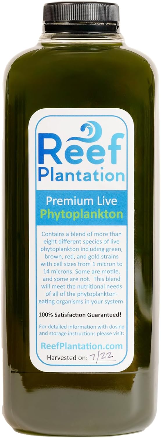 32oz (One Quart) Premium Live Phytoplankton Blend - Food for Corals & Copepods in Reef/Saltwater Aquariums - Over Eight Different Strains of Live Phytoplankton