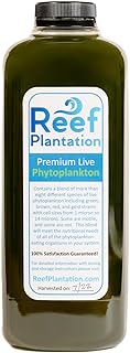 32oz (One Quart) Premium Live Phytoplankton Blend - Food for Corals & Copepods in Reef/Saltwater Aquariums - Over Eight Different Strains of Live Phytoplankton