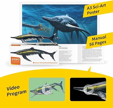 PNSO Prehistoric Animal Models: 90 Youran the Guizhouichthyosaurus