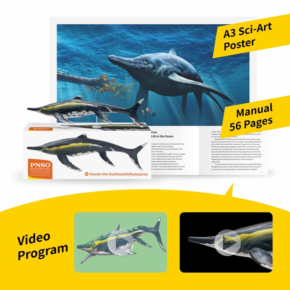 AMITD Guizhouichthyosaurus Modèle Dinosaure Préhistorique
