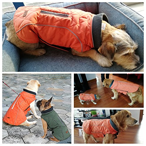 Tfeng Reflective Dog Jacket Dog Coat Warm Padded Puffer Vest Puppy Jacket With Fleece Orange Xs #TOP5