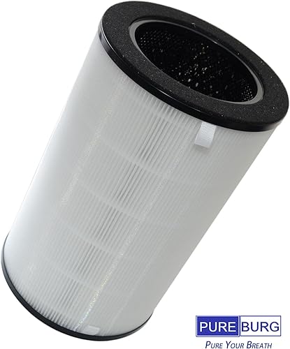 Miniatura 2 de PUREBURG AP-T40FL - Filtro de repuesto compatible con Homedics AP-T45 AP-T40 1461901 (modelo Costco) Purificador de aire TotalClean, paquete de 2