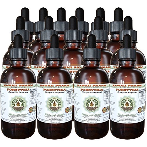 Hawaii Pharm Forsythia Fruit Alcohol-Free Extract, 4 fl oz, 15-Pack