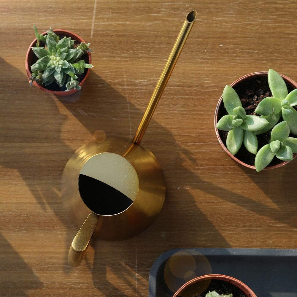 Watering Can Stainless Steel Sprinkle Pot Long Mouth Garden Tool 3 Size for Flowers Potted Plants Indoor Outdoor(400ml)