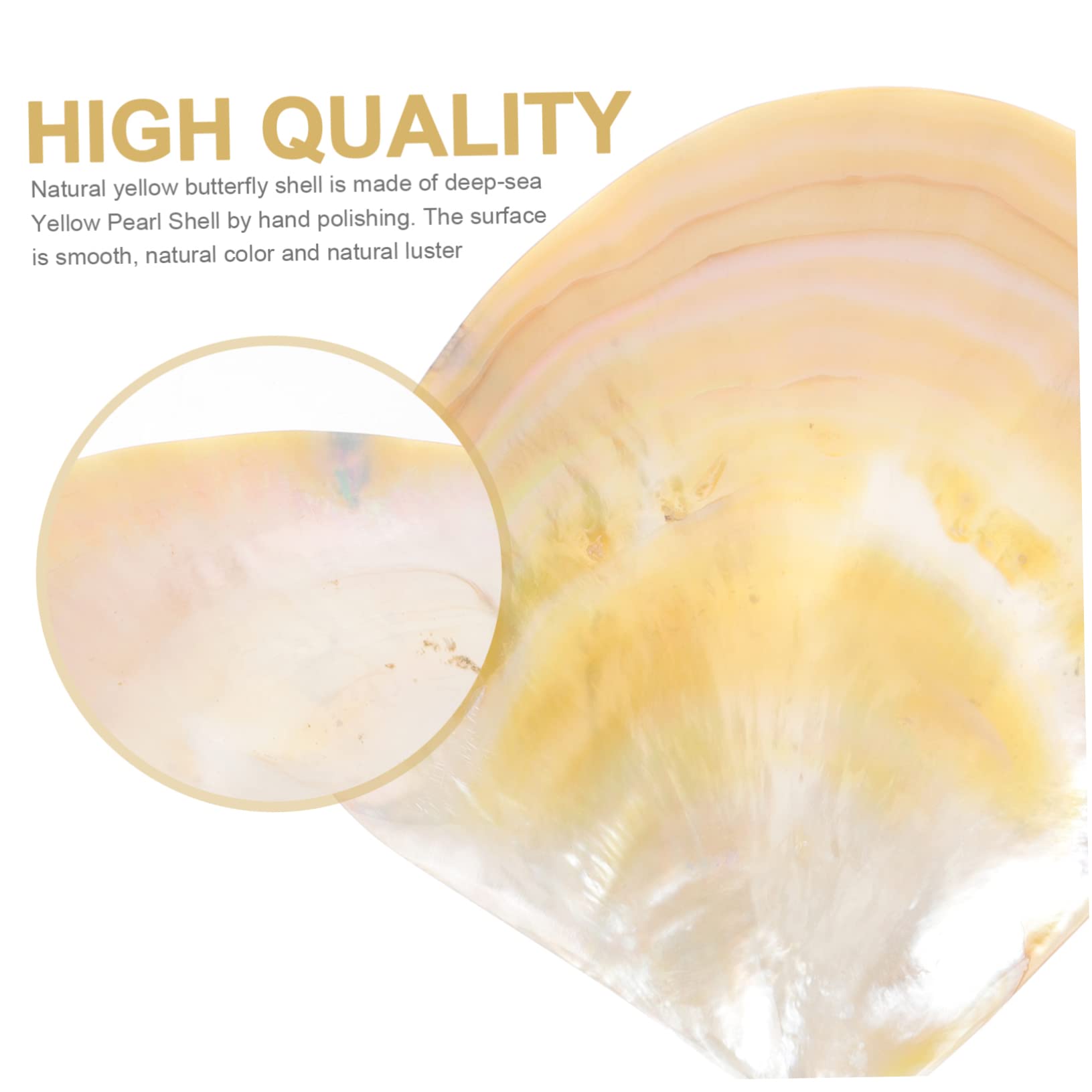 VINTORKY 1 Set Caviar Dish Mini Plates Caviar Tabletop Decor Wasabi Dish Natural Fish Tank Decorations Decorative Foods Home Decor Flatware Tray Caviar Tray Caviar Cup Shell