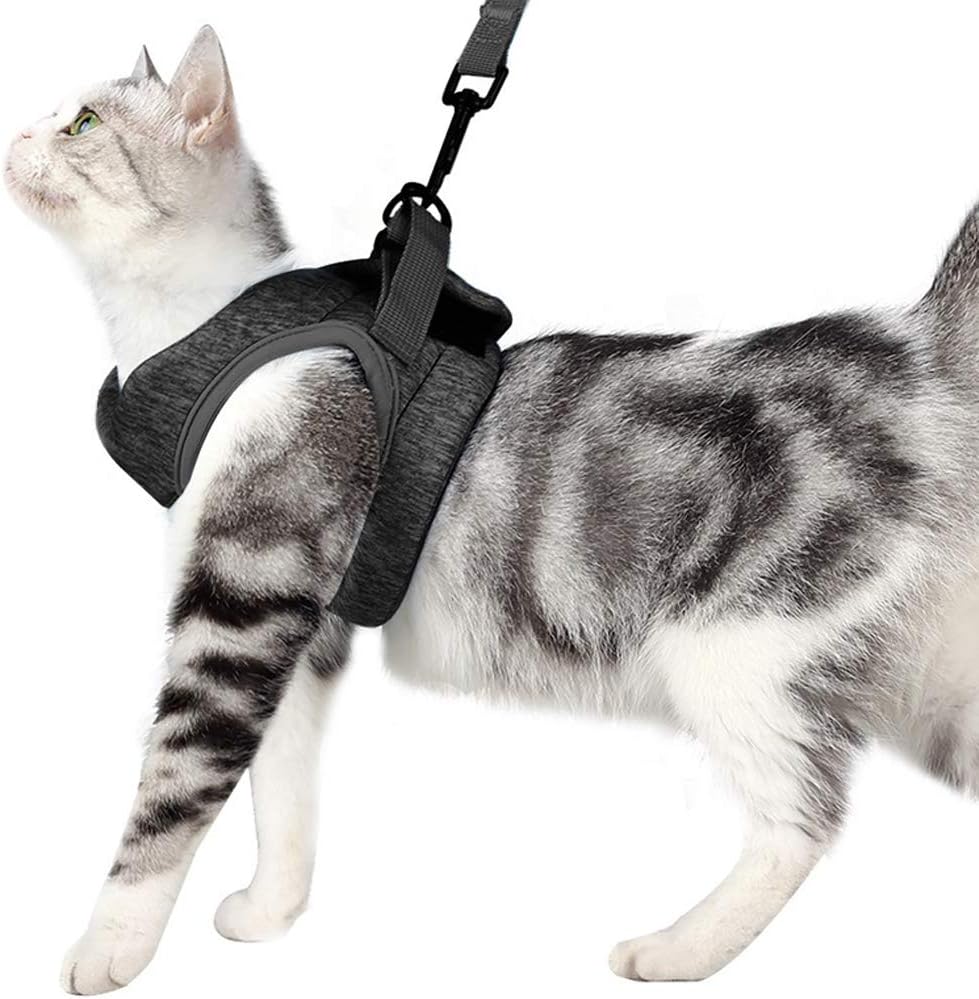 escape proof cat harness amazon