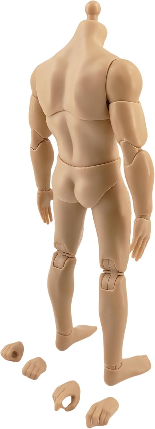 1:12 Male Action Figure Body – 6 Inch Highly Articulated Muscle Figure Base for Custom Military Models, Kitbashing, and Display Builds (2-Part Waist)