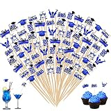 240 Counts Graduation Toothpicks for Appetizers Cocktail Picks for Drink Graduate Cupcake Toppers Sa