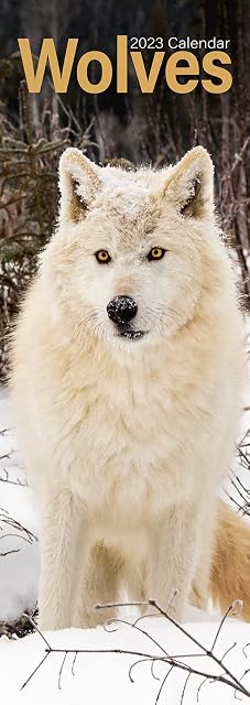 Wolves Slim Calendar 2023 | Slimline Wolf Calendar | 12 Month Wall Calendar | January 2023 To December 2023 | Animal Calendar | With FREE Organisational Stickers