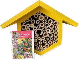 Bee Hotel with Wildflower Seeds. Help the Solitary Mason Bees Thrive with this Colourful Yellow Bee House