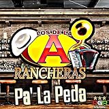 licor palo ripoll  Tomando Licores