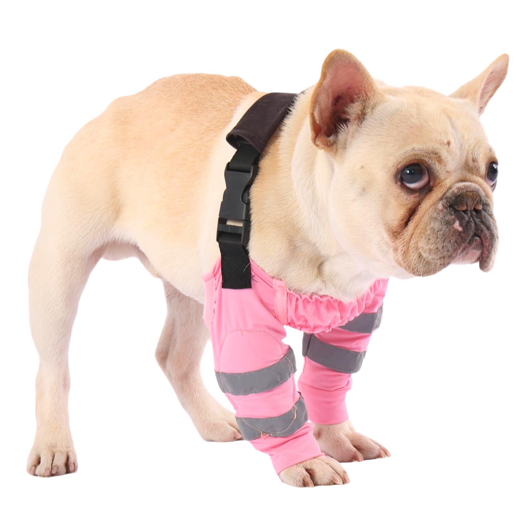 Manchons de coude réglables pour chien étanches et anti-léchage